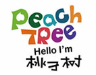 桃子樹少兒美術(shù)加盟