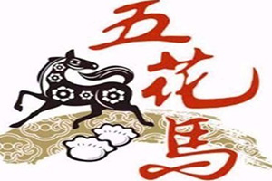 五花馬美術創意空間加盟