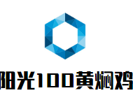 陽光100黃燜雞加盟