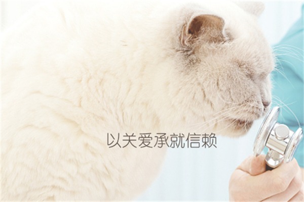 瑞派寵物醫院加盟