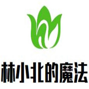 林小北的魔法咖喱加盟