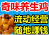 奇味養(yǎng)生雞小吃車(chē)加盟