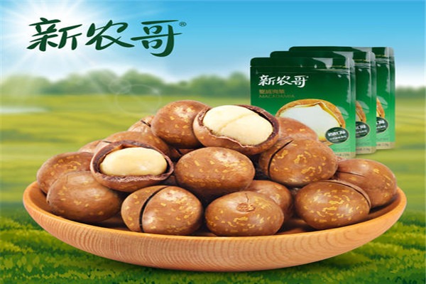 新農哥加盟