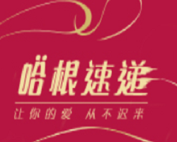 哈根速遞加盟
