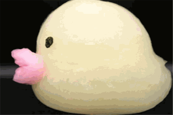 創意棉花糖小吃車加盟