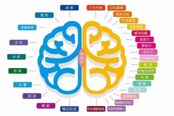 千腦慧國際教育加盟