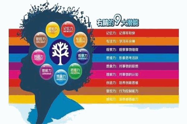 千腦慧國際教育加盟
