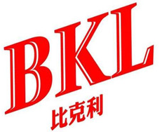 比克利雞排加盟