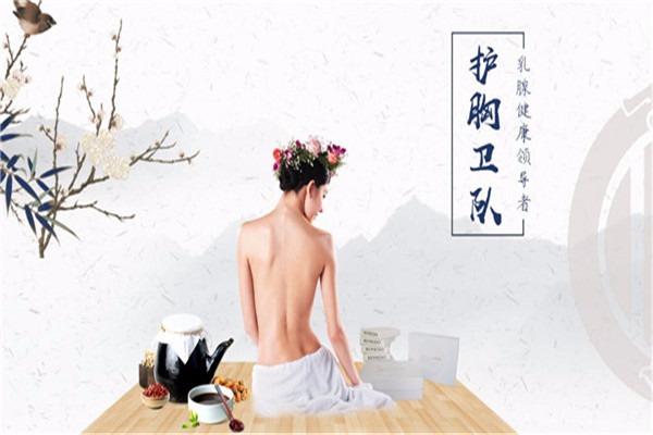 護胸衛隊加盟
