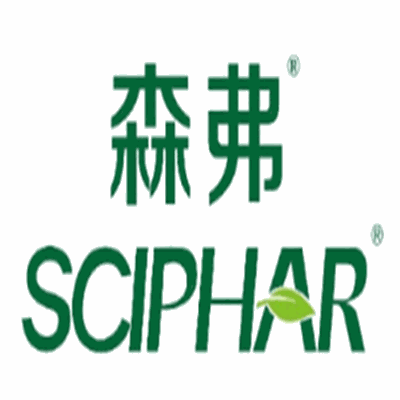 森弗英語