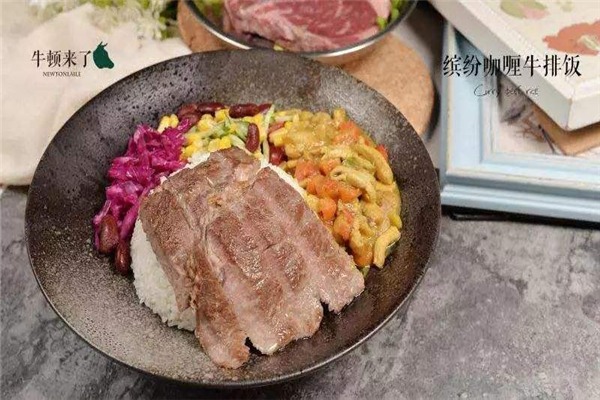 牛頓來了加盟