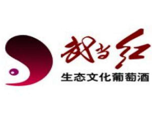 武當紅加盟
