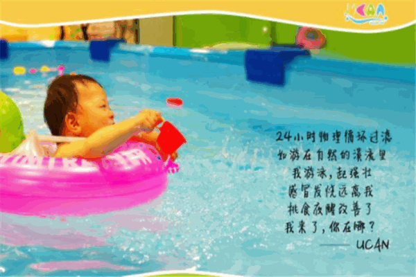 ucan四條小魚加盟