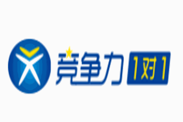 競爭力一對一輔導