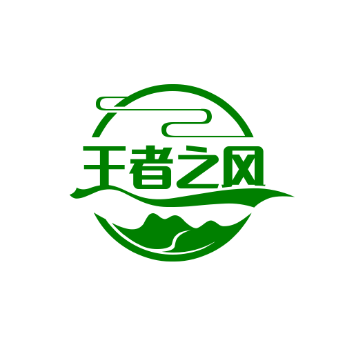 王者之風(fēng)男士spa加盟
