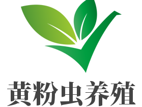 黃粉蟲養殖加盟