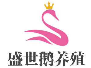 盛世鵝養殖加盟