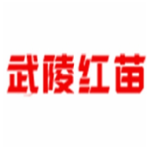 武陵紅苗筋骨噴劑加盟