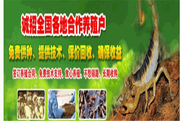 中農益民Ⅱ號藥蝎加盟