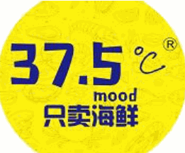 37.5°小海鮮加盟