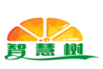 智慧樹小飯桌加盟