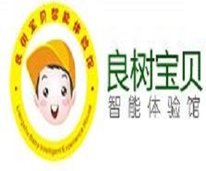 良樹寶貝智能兒童樂園加盟
