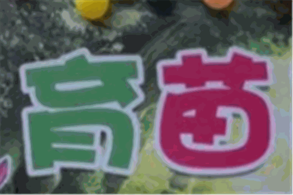 育苗雙語幼兒園加盟