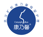 康乃馨產后恢復中心加盟