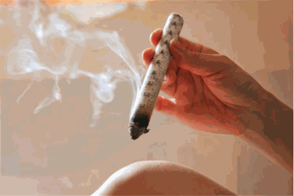 董敏園艾灸培訓加盟
