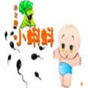 小蝌蚪恒溫主題水上樂園加盟