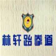 林軒跆拳道培訓中心加盟
