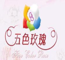 五色玫瑰婚慶加盟