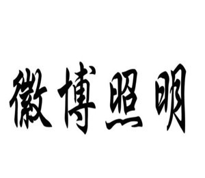 徽博照明燈飾加盟