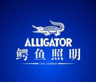鱷魚照明加盟