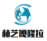 林芝嘎隆拉大酒店加盟