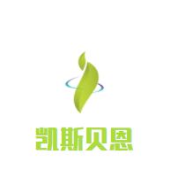 凱斯貝恩加盟