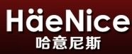 哈意尼斯冰淇淋加盟