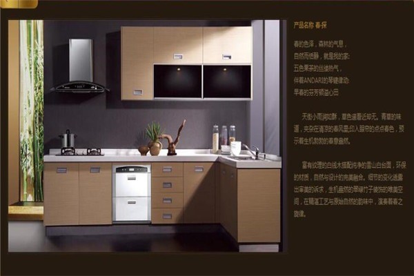 榮事達櫥柜加盟