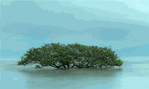 王超雲產后修復加盟