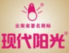 現(xiàn)代陽光加盟