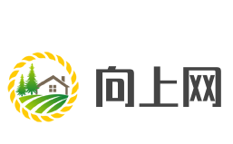 向上網加盟