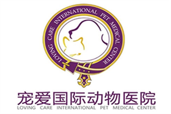 寵愛國際動物醫院加盟