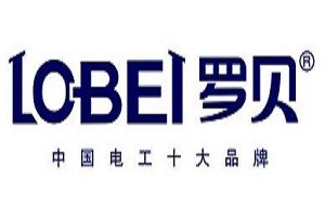 羅貝開關加盟