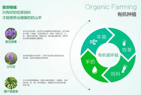 安牧純有機(jī)羊奶粉