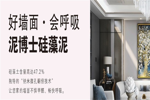 泥博士硅藻泥