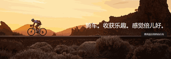 崔克自行車(chē)