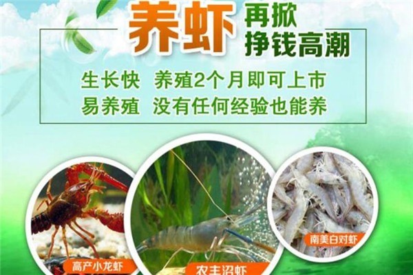 農豐現代