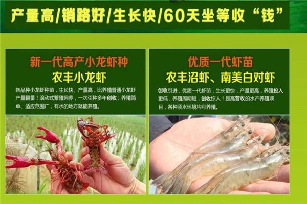 農豐現代
