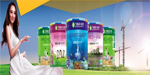 雪絨花涂料