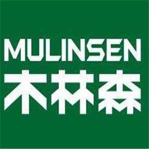 木林森硅藻泥加盟